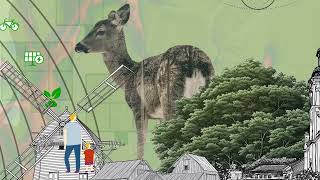 Nature for Culture | A Positive Future for Biodiversity (BIONEXT)