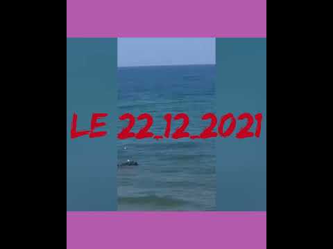 رفان وبريسيدون 10 