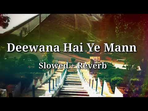 Deewana Hai Ye Man    Slowed Reverb    Sonu nigam \u0026 Alka yagnik #lofi #lofisonglover
