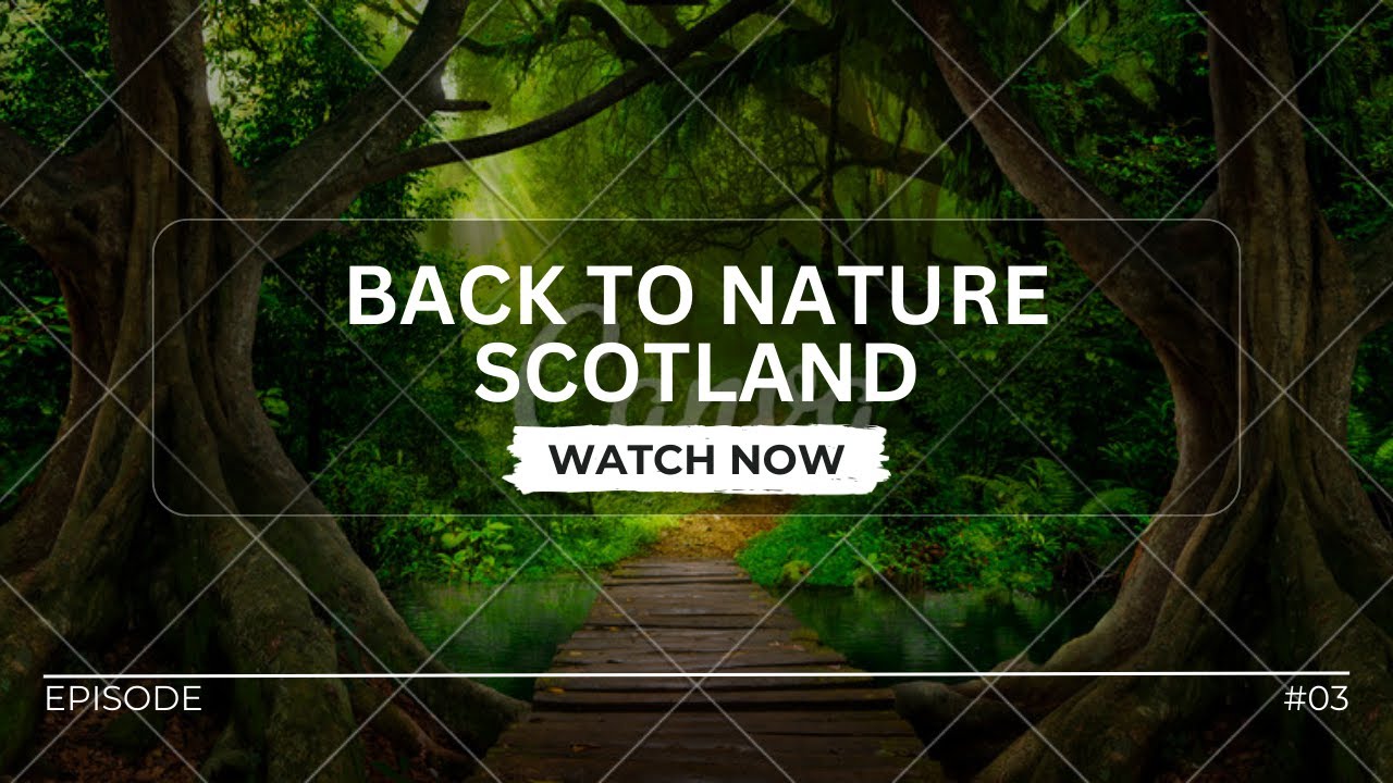 "Tranquil Escapes 2024: 4K Scotland Nature Relaxation 🌿🎶 | Meditation Retreat with Soothing Music"
