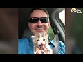 Veterinarian Brings Home Disabled Kitten For His Daughter | The Dodo