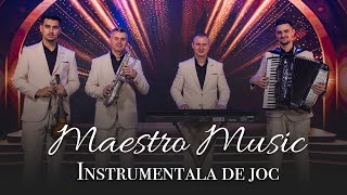 Maestro Music - Instrumentala de joc || 2025 ||