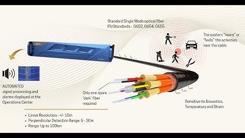 Thubatech Conservation Intrusion Detection System