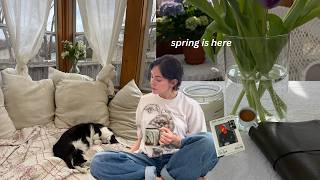 Life updates, spring reset, turning my sunroom into a cozy reading nook