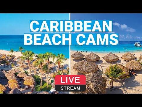 Best Caribbean Beach Cams 🌴