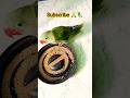 Cute 🥰 Tota # mitthu#talkingparot #nonstoptalkingparrot #shortfeed #trending #youtubeshorts