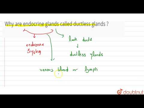 Video: De ce glandele endocrine sunt cunoscute ca glande fără conducte?
