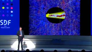The Human Brain Project  Emulating the Brains Computational Capabilities   Henry Markram | SDF2014