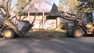leaf collection 2011 hd.mov