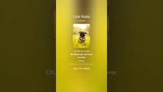 Little Walela        #shortsfeed #country #bluegrass #pug #music