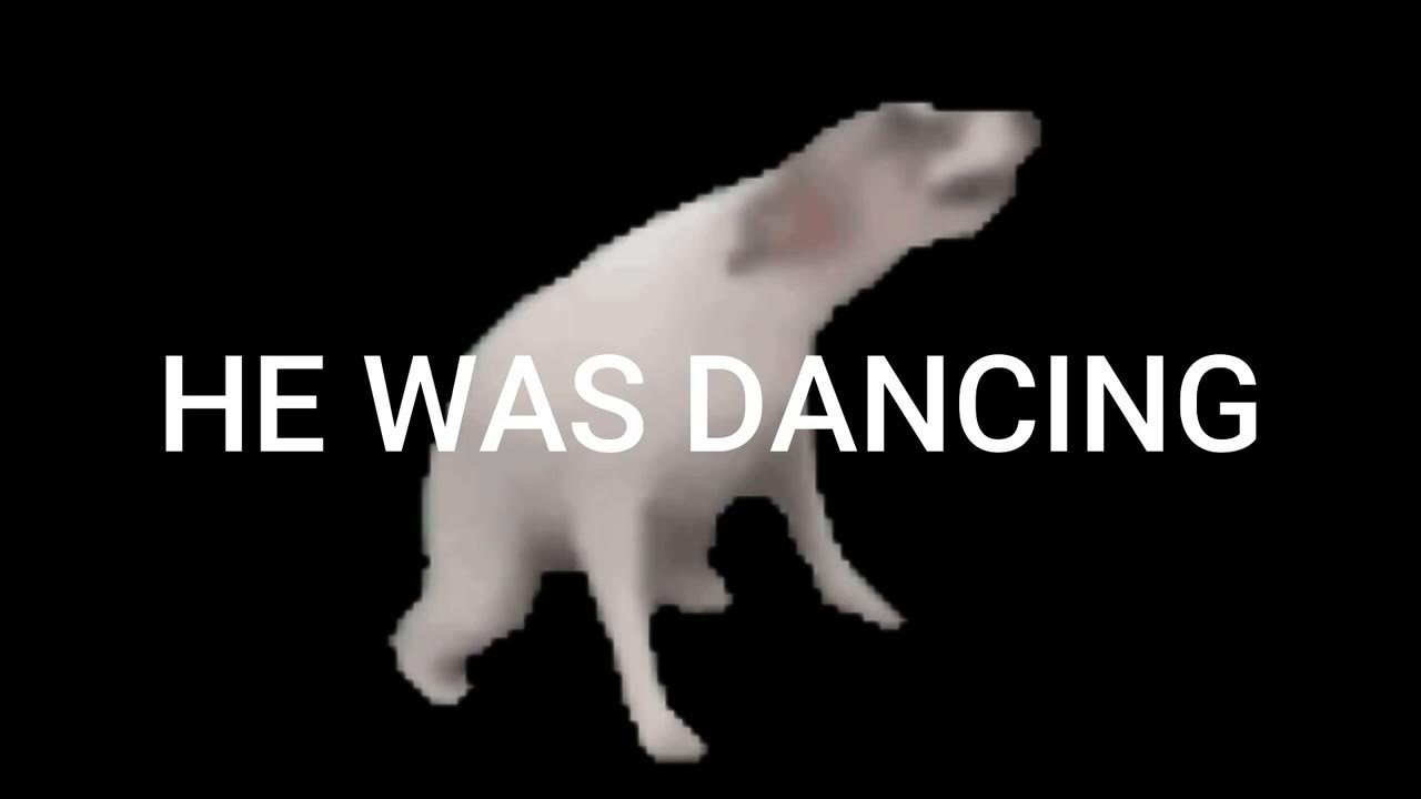 what the dog doin YouTube