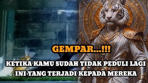 JIWA TERPILIH _ KETIKA KAMU TIDAK PEDULI LAGI INI YANG TERJADI KEPADA MEREKA 