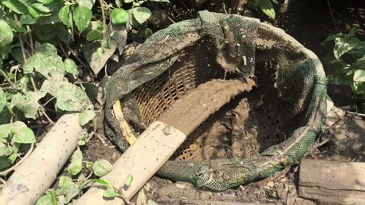 Cách làm bơm xi phong cho ao tôm(ao đất)hiệu quả,tiết kiệm chi phí cho Anh Chị.