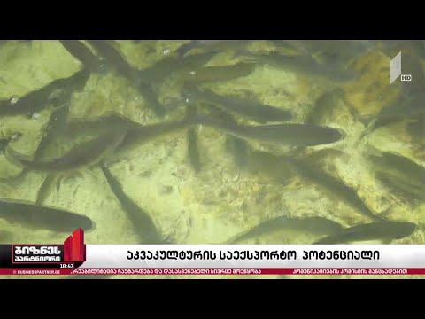 ქართული თევზისა და თევზპროდუქტების ექსპორტი შესაძლოა, ევროპის ბაზარზე განხორციელდეს