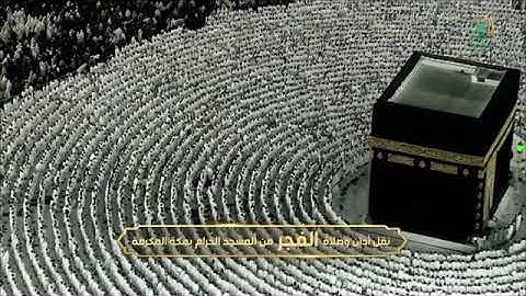 سورة السجدة والإنسان👇🏻 من صلاة الفجر الشيخ أ.د. ياسر الدوسري ٩ صفر ١٤٤٥هـ