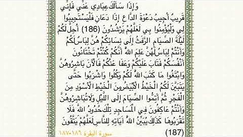 سورة البقرة١٨٦-١٨٧ للقارئ أحمد الشافعي🤍