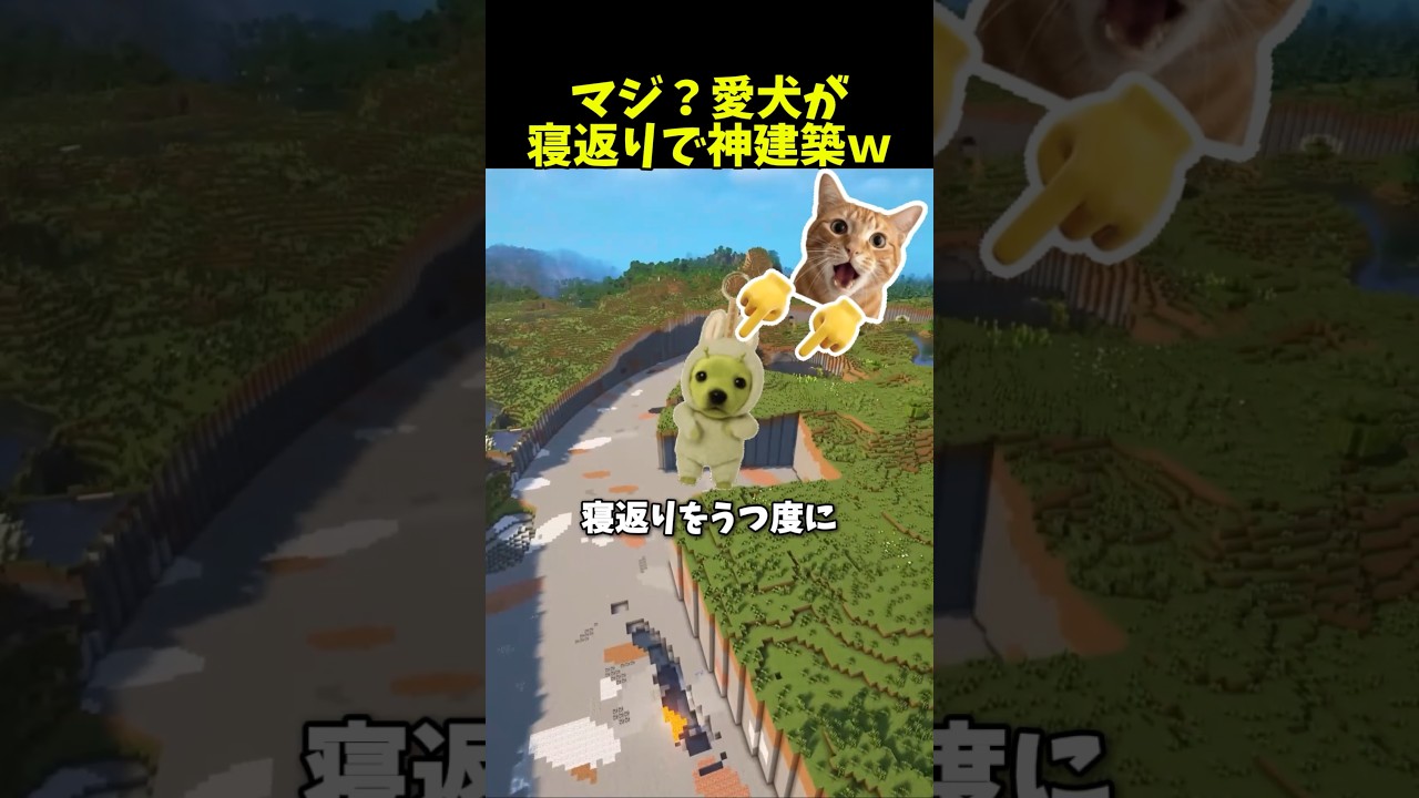 愛犬が寝返りで神建築 #マイクラ #マインクラフト #minecraft #shorts
