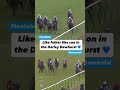 Like father like son! #horse #horseracing #horsesofinstagram