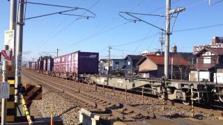 日本海縦貫線貨物列車3097レ 牽引機：EF81 735
