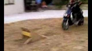 Raul Yañez Neox Destruction