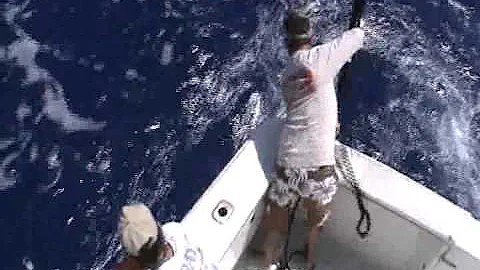 Alfred's HUGE Blue Marlin loss! -Hawaii