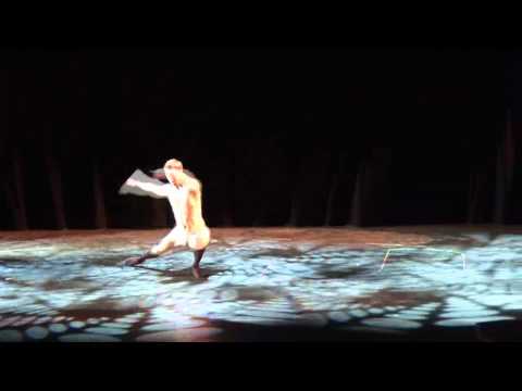 Male Contemporary Ballet Dancer in "The Art of Dan...