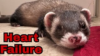 How I knew Simon went into heart failure