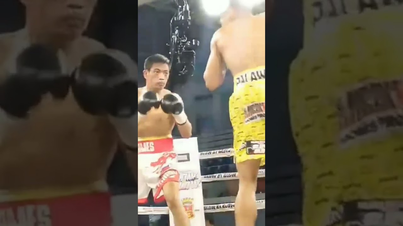 pacamalan vs helario 