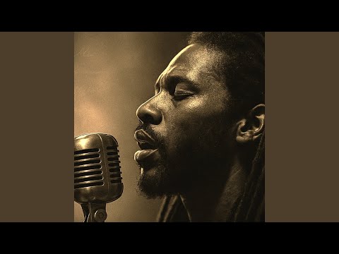 I Bought Lost Packages