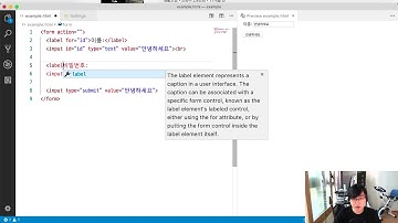 모던 웹을 위한 HTML5 + CSS3 바이블 10강 - 쉽게 태그 입력하기 + 입력양식(1)