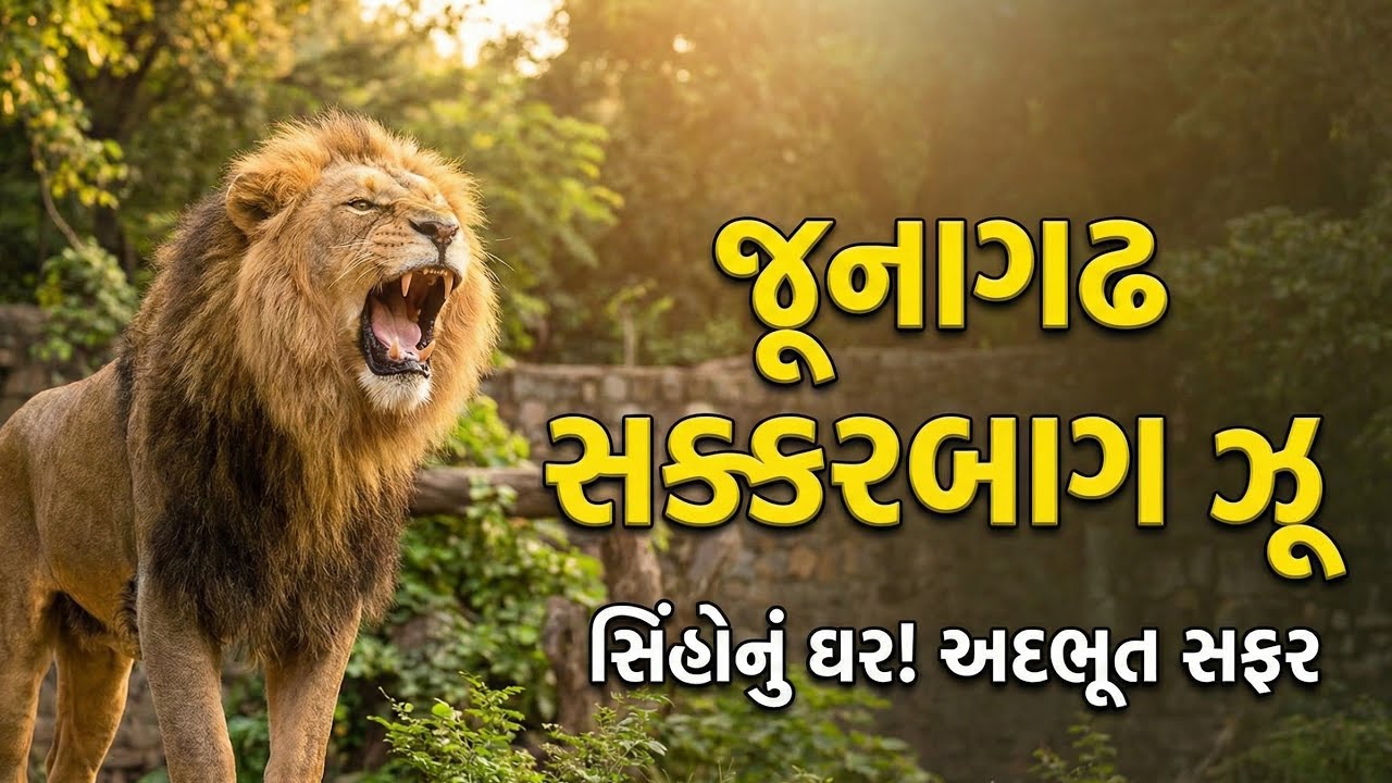 જૂનાગઢ સક્કરબાગ પ્રાણી સંગ્રહાલયની રોમાંચક સફર! 🦁 | Junagadh Zoo Tour | Asiatic Lions of Gujarat