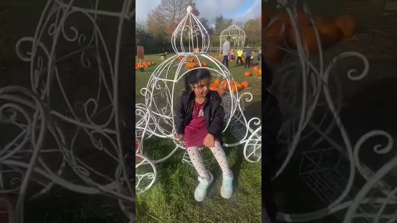 Pumpkin patch || The Pop Up Pumpkin Farm