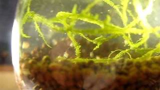 MVI_5179.AVI