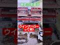 🇯🇵師匠の代掻き 5月3日 ニプロウイングハロー