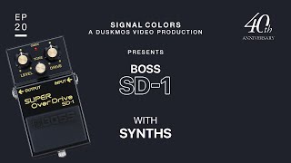 BOSS SD-1 (SD-1-4A) Super Overdrive 40th Anniversary Demo w/ Synths (Roland SH-101)