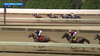 2023 $250,000 Misty Bennett Pink Ribbon Stakes by Race Charles Town 410 views 8 months ago 1 minute, 33 seconds