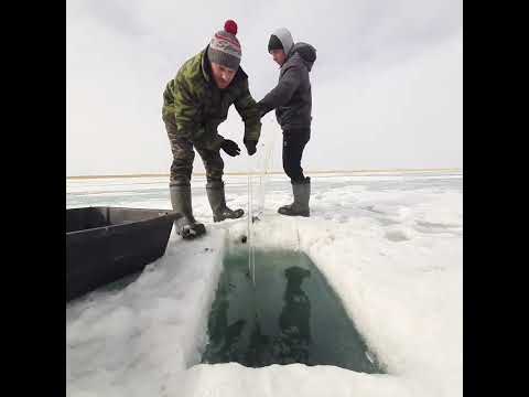 Установка и проверка сетей.