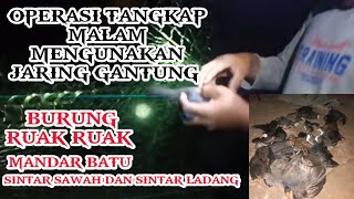 BERBURU||JARING BURUNG RUAK RUAK/TRUWOK MALAM HARI||BIRD TRAP