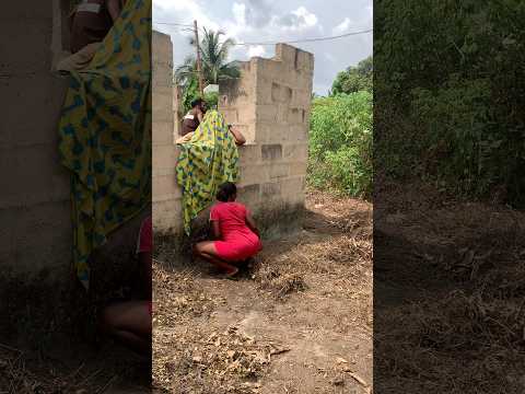 Reggae Reggaemusic Root Music Bobmarley Dance Ihavethisthingwithplants Africa Shorts Fyp