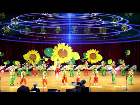 【大顯神威】橘子班 太陽花幼兒園第二十屆畢業禮讚暨頒獎典禮1080712