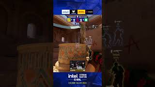 Some nasty entries from TeSeS