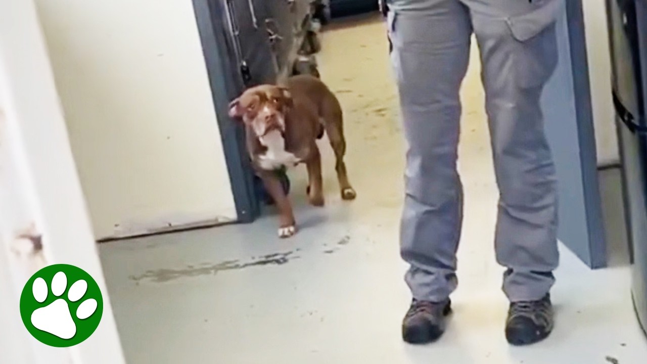 When she realizes it's her parents 🥹❤️