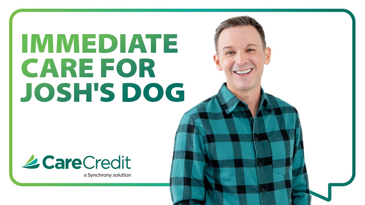Immediate Care For Josh's Dog My CareCredit Story YouTube