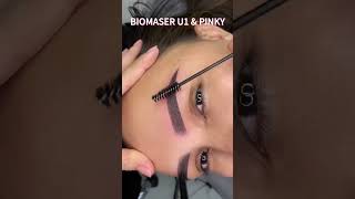 Perfect Brows With PMU Machine U1 and Pinky Needles– Pro Team Feedback!