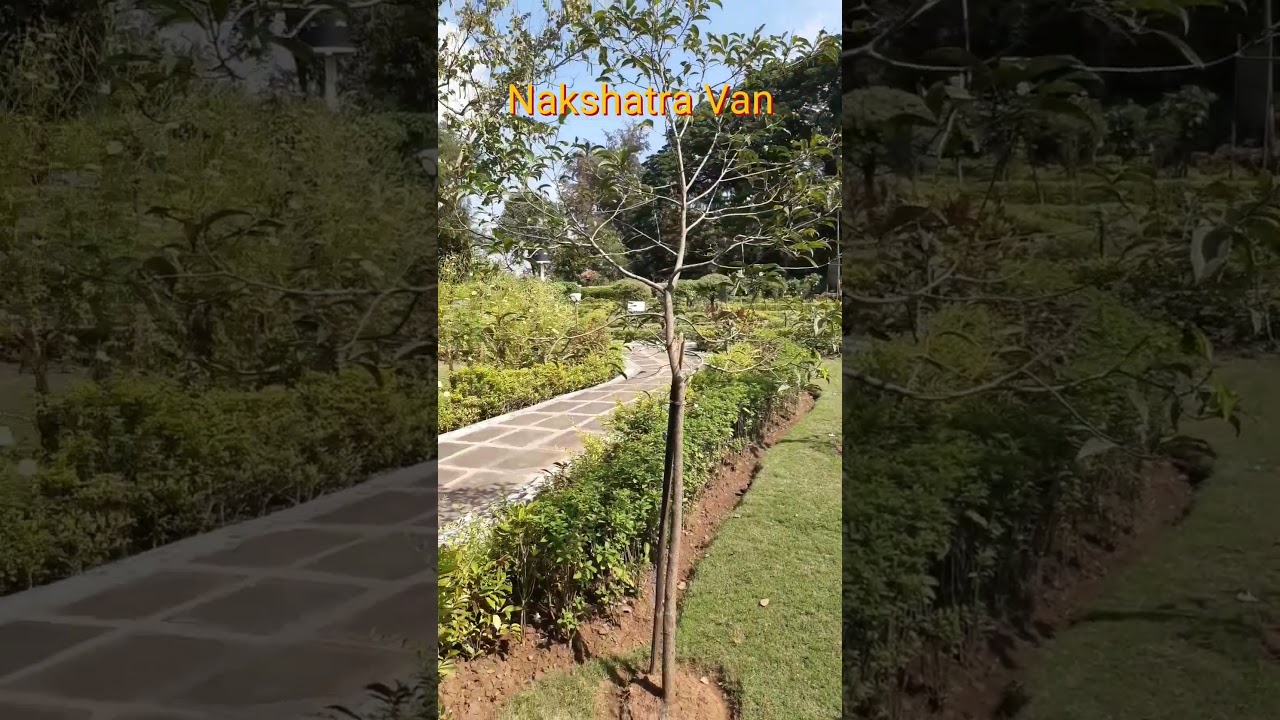 Nakshatra🐿 Van🌳😍 Selvasa📍