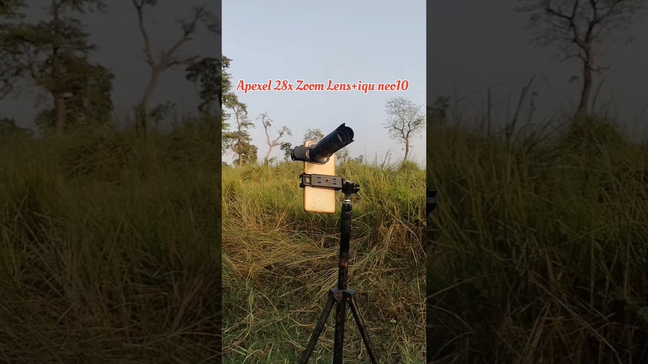 Apexel 28x Telephoto Zoom Lens Photography Video || Wildlife Bird Photography 