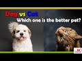 Dog versus Cat, Which one is the better pet? #cat #dog #doglover #catlover