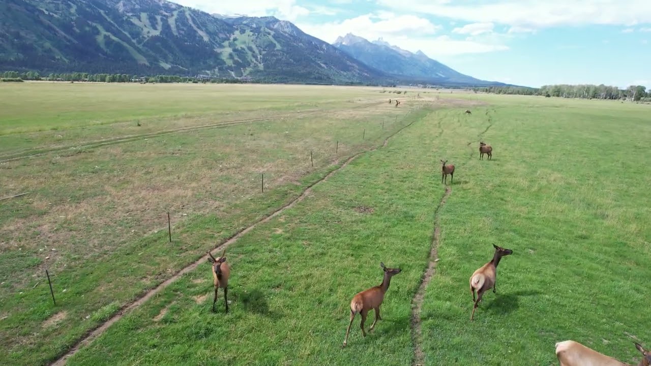 Yellowstone Family Trip 7