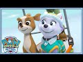 パウ・パトロール | ジェイクとエベレストの冒険!|  パウ・パトロール公式