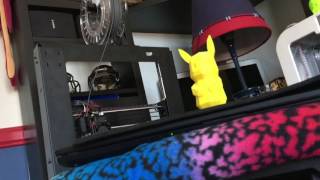 MakerBot Replicator Mini Review!! Net Worth